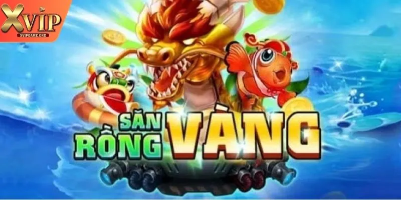 Những câu hỏi thường gặp về Rồng Vàng Những câu hỏi thường gặp về Rồng Vàng