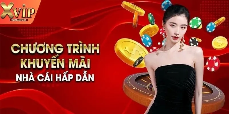 Vô vàn chương trình với điều kiện cụ thể đang chờ đón anh em tại Xvip Vô vàn chương trình với điều kiện cụ thể đang chờ đón anh em tại Xvip